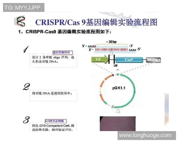基因编辑选手如何利用技术提升运动反应速度与竞技表现